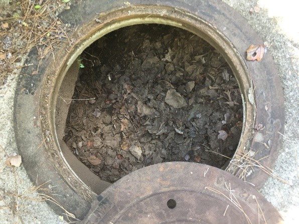 leaves in stormdrain
